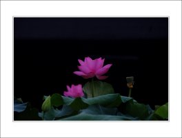 관곡지..9-12
