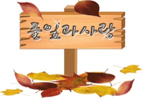 가끔은 어리석어 보자