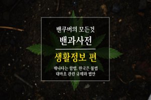 [밴쿠버_생활정보] 한국은 마약? 캐나다는 합법? 대마초(마리화나)의 진실!
