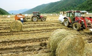 입동(立冬)/뜻,자연현상,풍속,절기음식