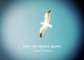 멈추지 마라 - 양광모