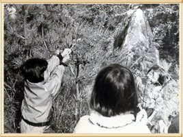 시절 이미지