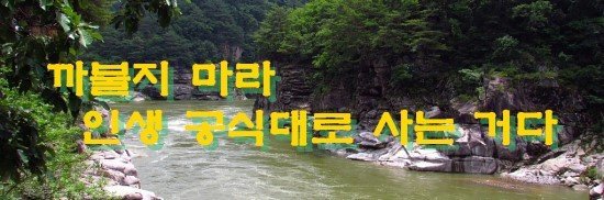 까불지 마라 인생 공식대로 사는거다.