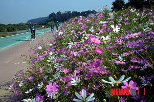 추분(秋分)/뜻(정의),내용,풍속★