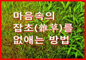 마음속의 잡초(雜草)를 없애는 방법