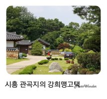 여름엔 시흥 관곡지