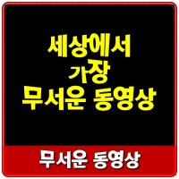 [무서운 이야기] 무서운 동영상 귀신과 폴터가이스트 현상.