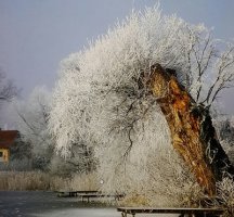 아름다운이야기 이미지