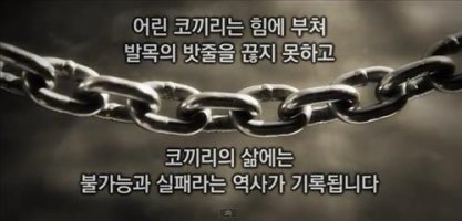 분노한 반크, "위안부가 매춘부였다고?" 시정 동영상 제작