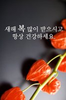 설 이미지