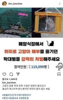 김건희, SNS에 &apos;고양이 학대 처벌&apos; 메시지..공개 행보 본격화?