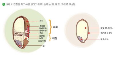 유기농 현미 쌀