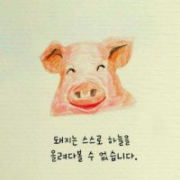 넘어짐도 감사합니다.