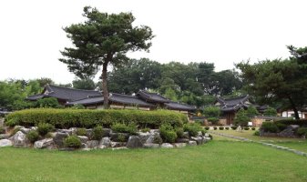 관곡지의 수련(1/2)