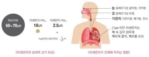 미세먼지에 좋은 음식 알아보고 가실께요~