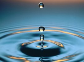 또 다른 흔적을 위한 발걸음