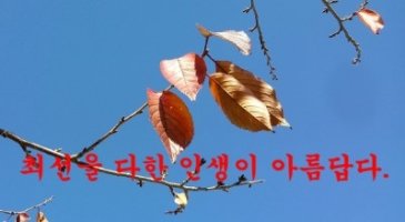 ♠♣ 최선을 다한 인생이 아름답다. ♣♠