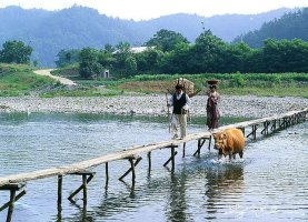 아직 나의 희망은 천륜