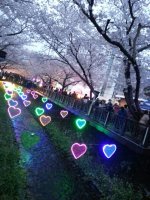 인우 님 청곡 합니다