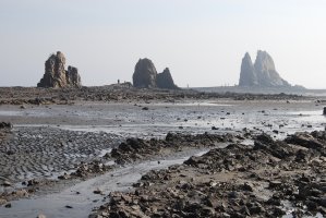 궁평항.제부도 나들이