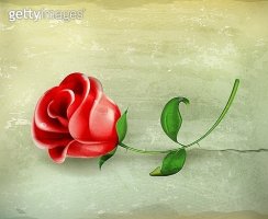 꽃사랑꽃구름 이미지