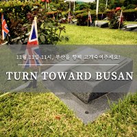 TURN TOWARD BUSAN : 11월 11일 11시, 부산을 향해 고개 숙여주세요!