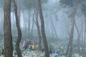 정읍 구절초 축제(1)