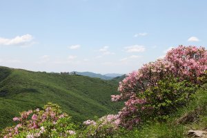 소백산 이미지