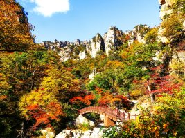 설악산 주전골 단풍