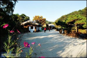 [경북영주] 소수서원 선비촌 방문 여행기(2)