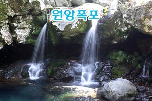 [4년 전 오늘] 원앙폭포/돈내코/제주도 여름 힐링 여행지