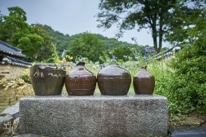 [전북 정읍] 아흔아홉 칸 전형적인 양반 가옥, 김명관 고택(김동수 가옥)