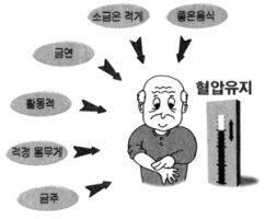 고혈압 관리