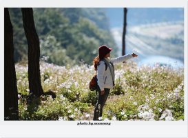 정읍 구절초 축제에서...