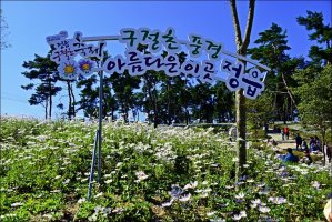 정읍 구절초 축제 [3 ]