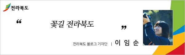 가을 향기 가득한 전주향교 - 은행나무 가을의 절정 금빛 물결