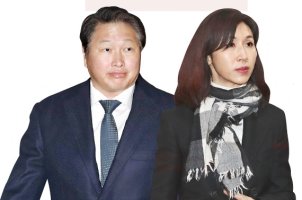 노소영, 최태원에 이혼 맞소송.. 1조 4000억 '세기의 재산분할'