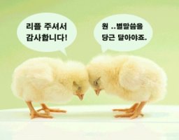 리플 주셔서 감사합니다..