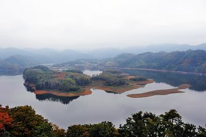 정읍 구절초 축제와 옥정호