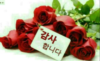 음악처럼 흐르는 고운 행복