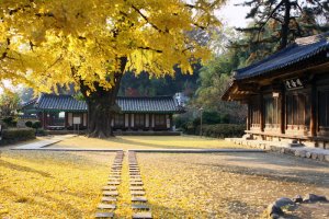 근대 명품 한옥인 전주 학인당에 머물다