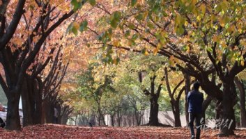 [날씨워치] '입동' 금요일, 일부 지역 아침 영하권...최저 -4~9도