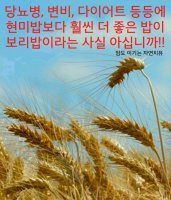 보리밥이랑 이미지