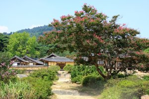 고택