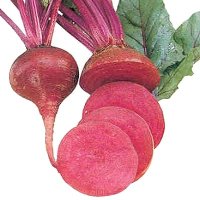 간에 좋은 비트의 효능과 활용방법