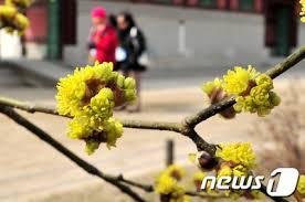 춘분(春分)의 뜻과 유래(由來).