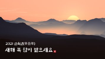 [무료공유/다운로드] 2021년 설날, 새해 인사말, 새해 이미지, 신축년 새해 인사 카드, 2021 코로나 설날 인사말 모음!!