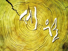세월아 조금 쉬었다 가자 / 성 낙민