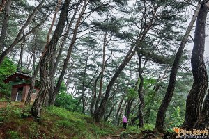 [10월 정모] 2018년 10월 6일(토) 한국의 산사, 세계유산 등재기념 2 - 영주 부석사, 봉화 축서사, 계서당, 닭실마을, 석천정사 등