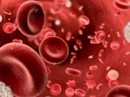 혈액순환장애 &amp; 혈액순환에좋은음식